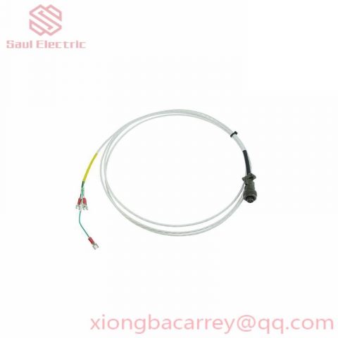 BENTLY 3500/61-01-00 (163179-02 & 133819-02) - High-Accuracy Industrial Temperature Monitoring System