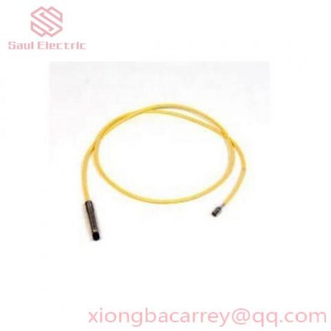 Westinghouse IOP310 JPI Class 150 3 RF SUS304 (JIS)