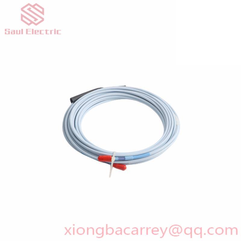 Bently Nevada 330910-05-10-05-02-CN Industrial Control Module