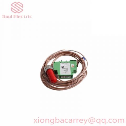 Emerson IC600BF810RRSeries 6 115V Isolated Input Module