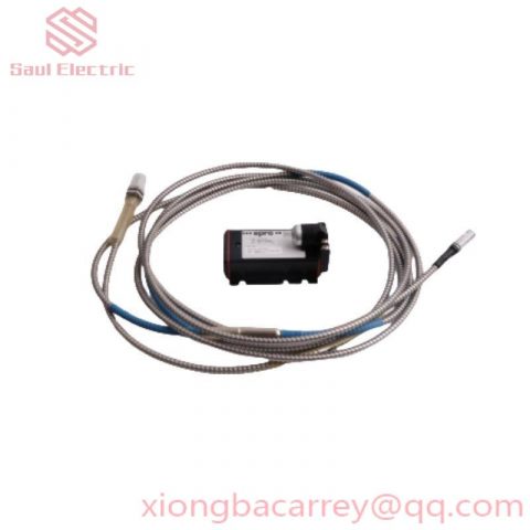 Emerson RXi2 - BP Industrial PC: AMD R1505G, 8GB RAM, 512GB SSD, Win 10