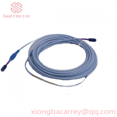 Bently 21000-02-36-00-120-03-02 Vibration Monitoring System Module