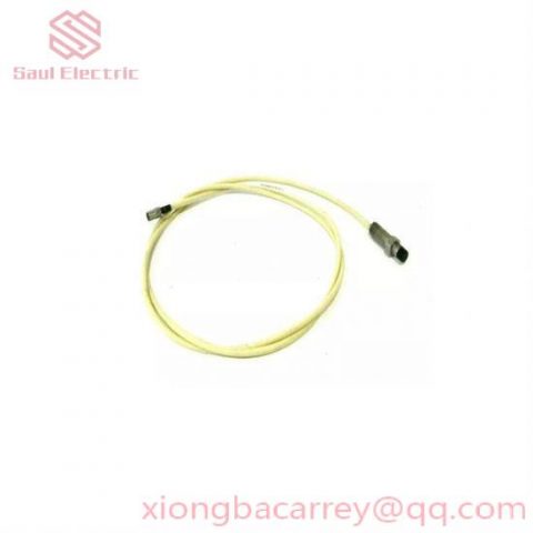 BENTLY 10244-27-50-01 Vibration Monitoring Module